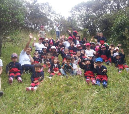 Social (5)